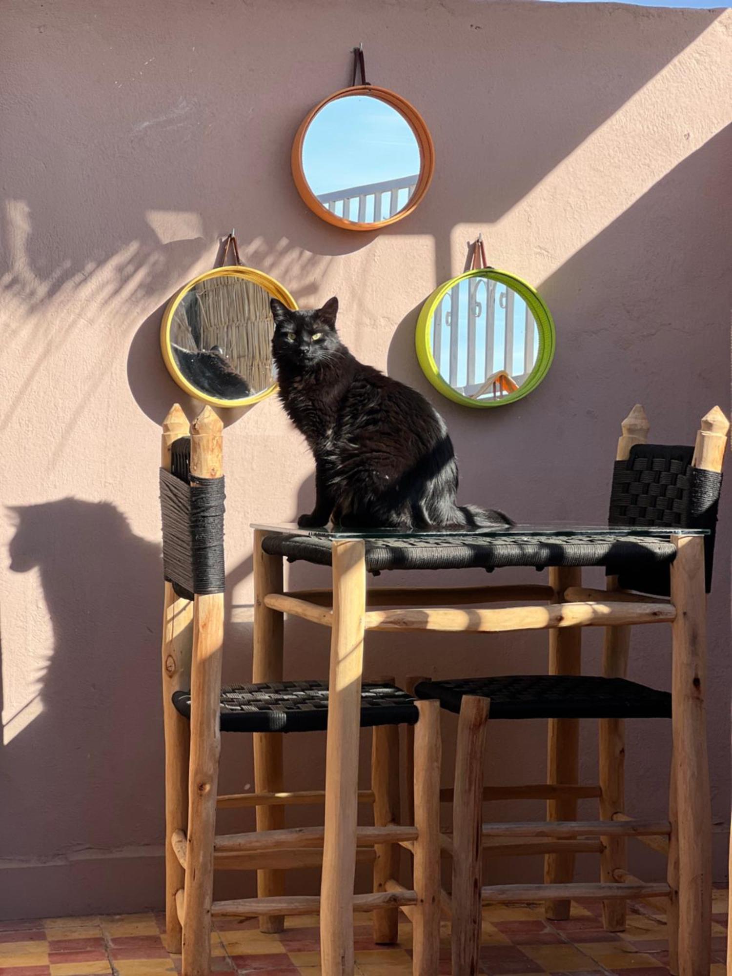 Peekaboo Hostel Marrakesh Esterno foto